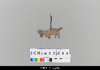 藏品(中國湖北皮影戲戲偶-羊)的圖片